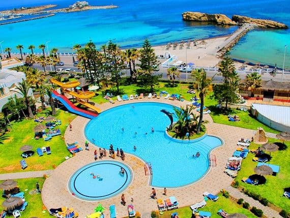 Delphin El Habib