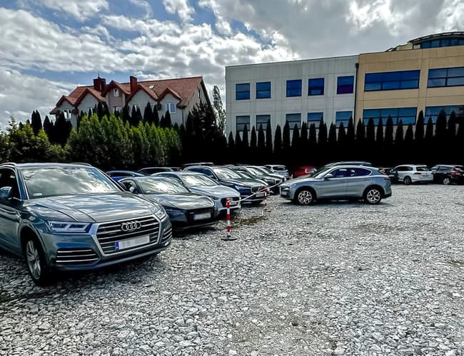 Parksist - zdjęcie 5