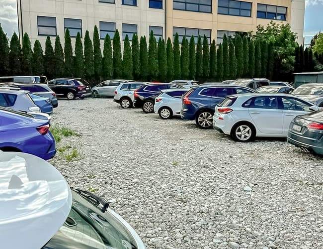 Parksist - zdjęcie 1